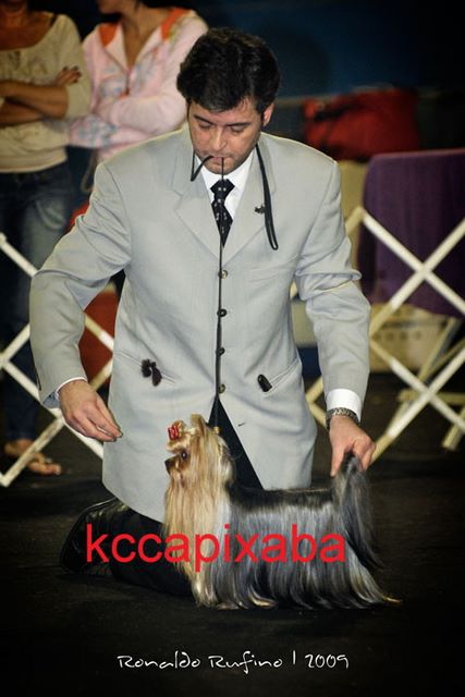 Clique sobre a foto para fechar